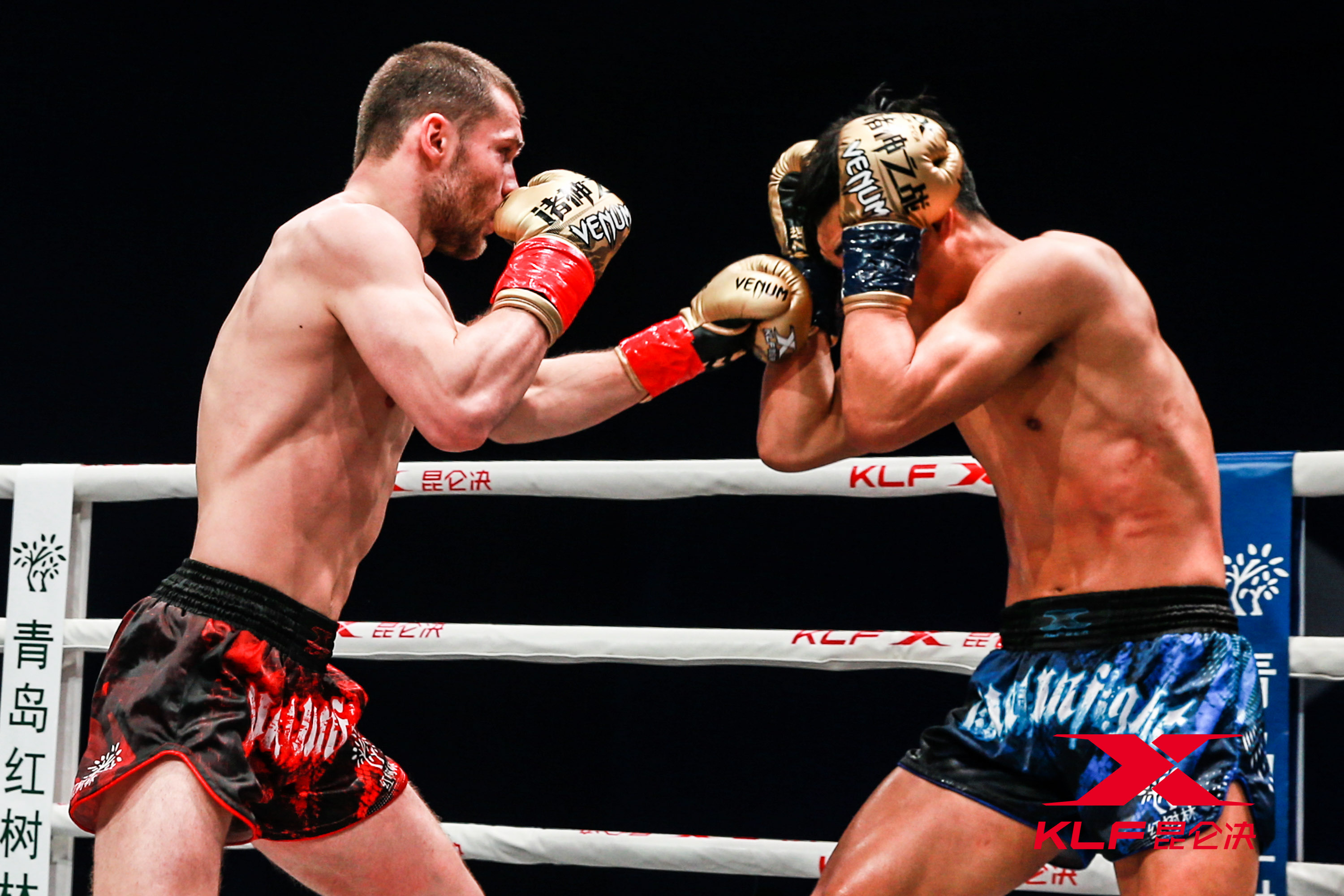 开云在线赛事平台-青岛队碾压天津队，戈贝尔扛起全队的简单介绍