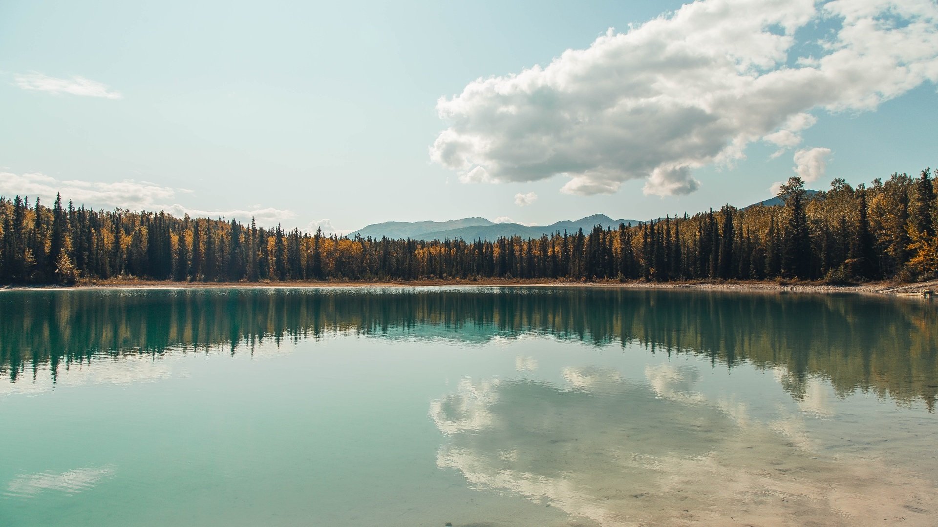 奥运周期关键战之夜,克莱·汤普森的高光时刻