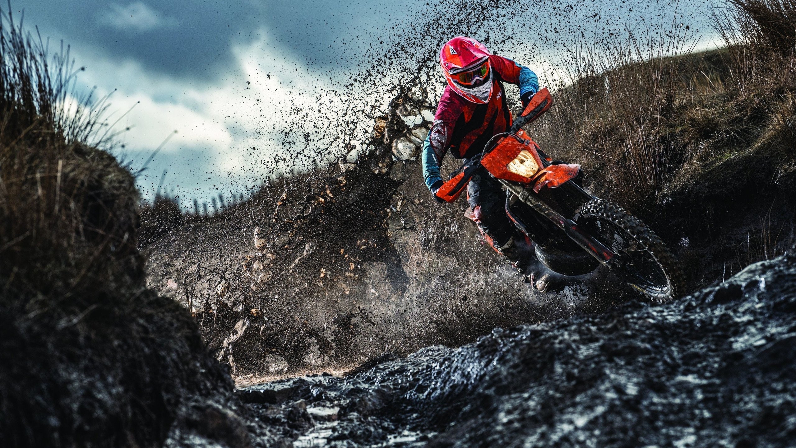 开云在线赛事平台-当命运交叉，非洲之光与北伦敦之子的双重奏