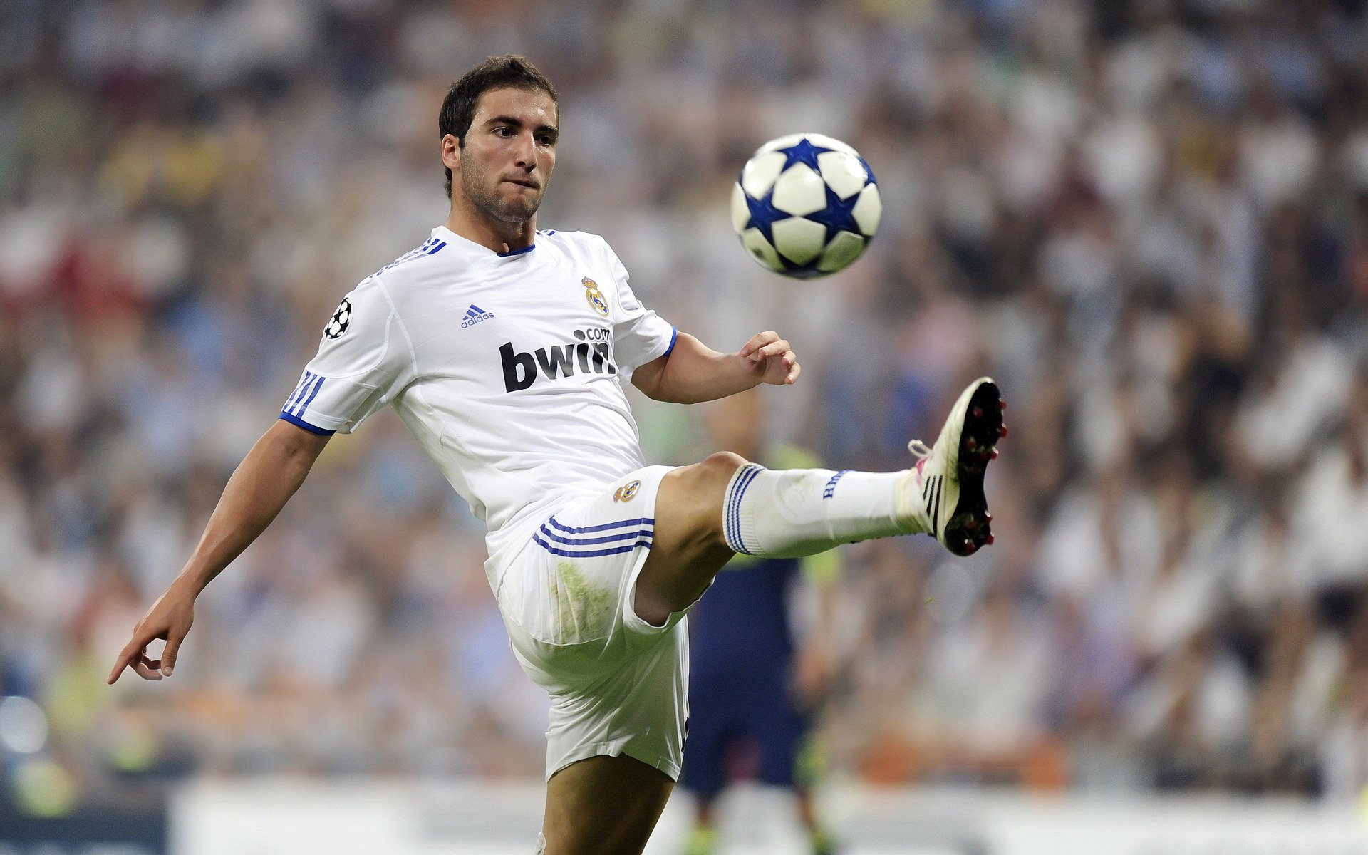 法网完胜温网,红土新王兹维列夫,如何以惊艳之姿征服世界?